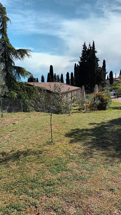 Agriturismo I Merli SantʼAmbrogio di Valpolicella Kültér fotó