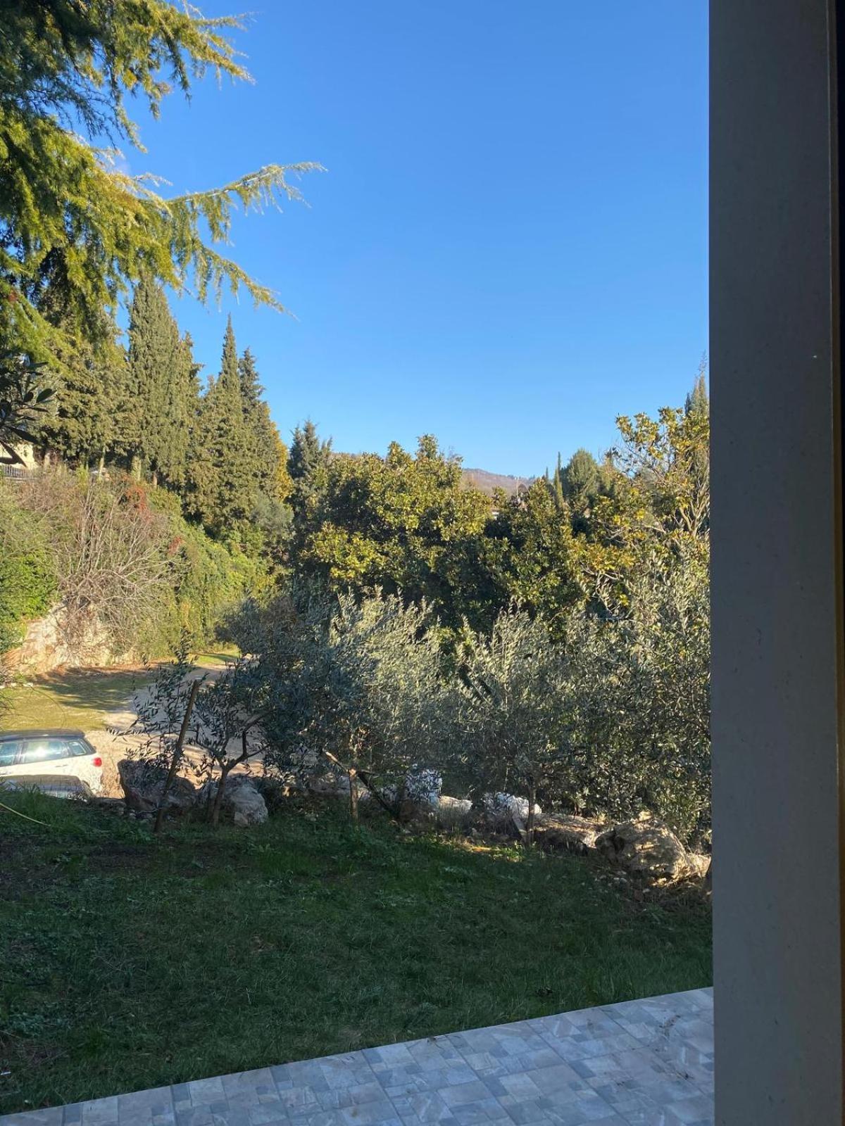 Agriturismo I Merli SantʼAmbrogio di Valpolicella Kültér fotó